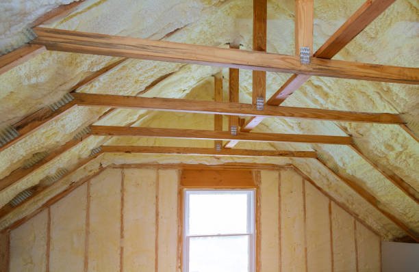 Best Residential Insulation in Waldo, FL