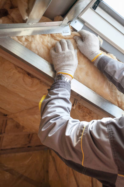 Best Cellulose Insulation in Waldo, FL