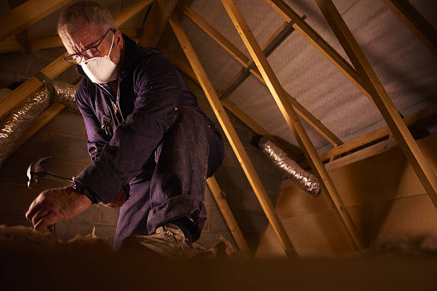 Best Insulation Maintenance and Repair in Waldo, FL